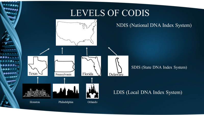 Image showing the levels of CODIS